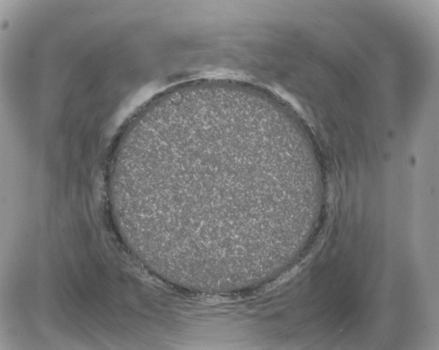 X0000086111263200704202257