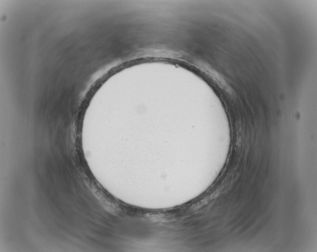 X0000086111264200704202257