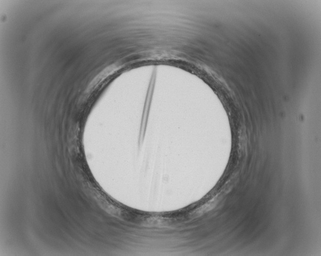 X0000086111265200704202257