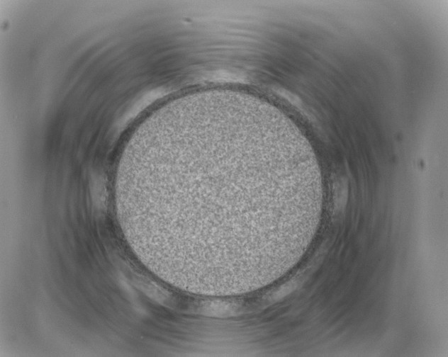 X0000086111266200704202257