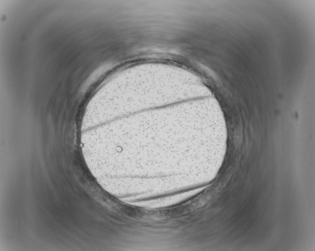 X0000086111267200704202257