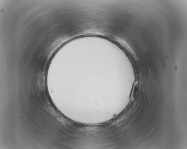 X0000086111268200704202257