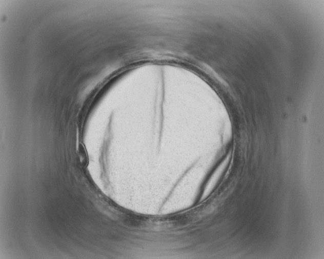 X0000086111269200704202257