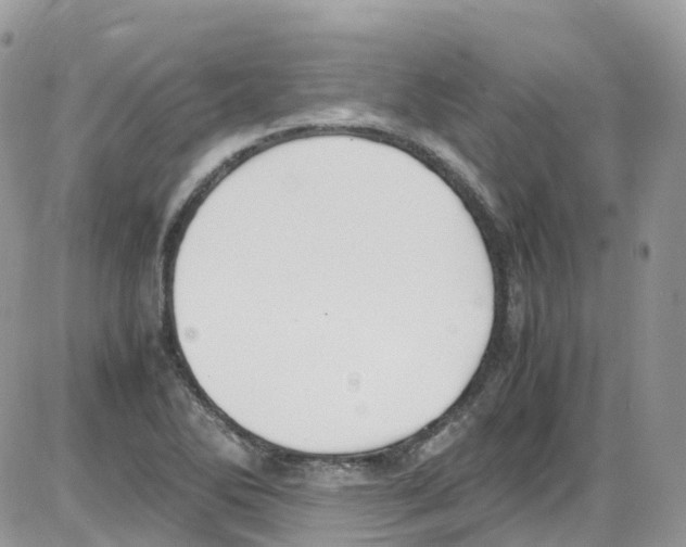 X0000086111270200704202257