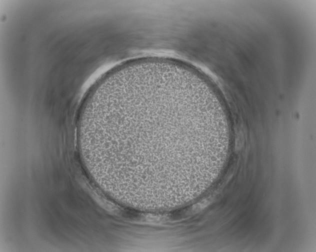 X0000086111271200704202257