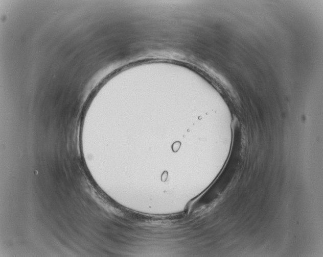 X0000086111272200704202257