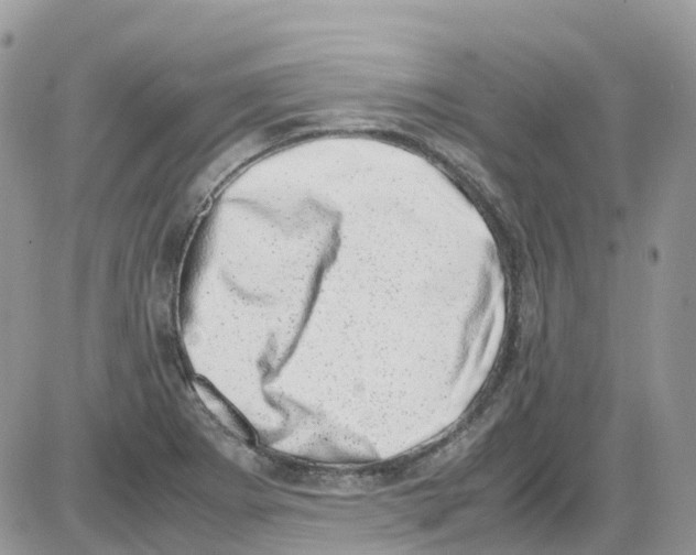 X0000086111273200704202257