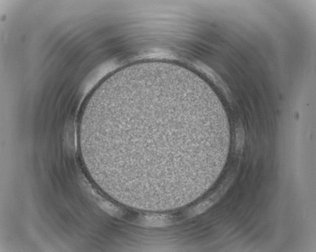 X0000086111274200704202257