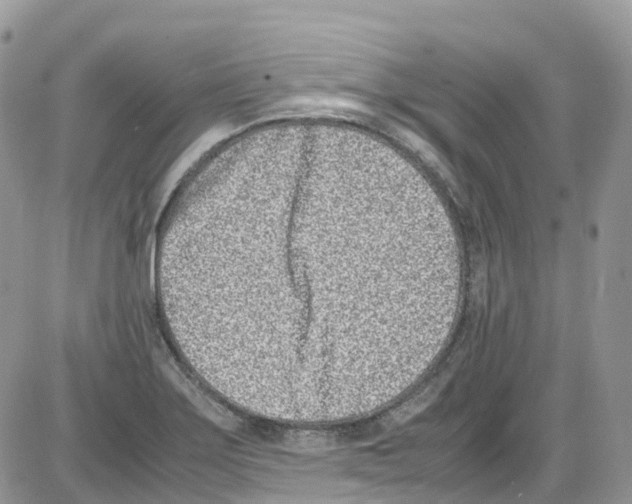 X0000086111275200704202257