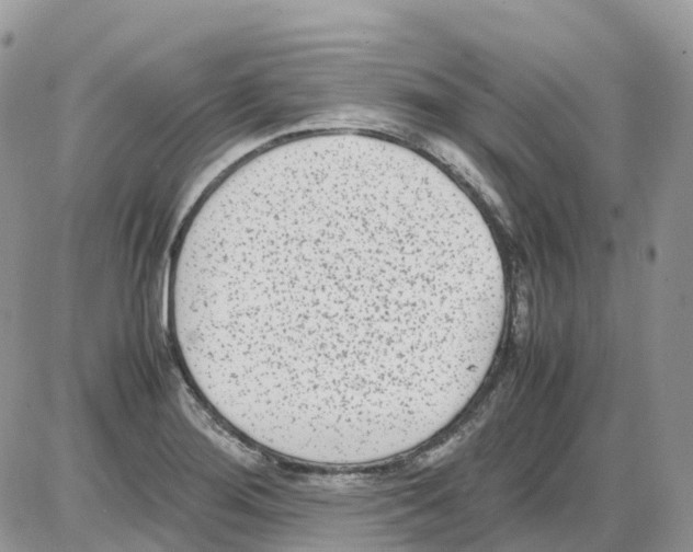 X0000086111276200704202257