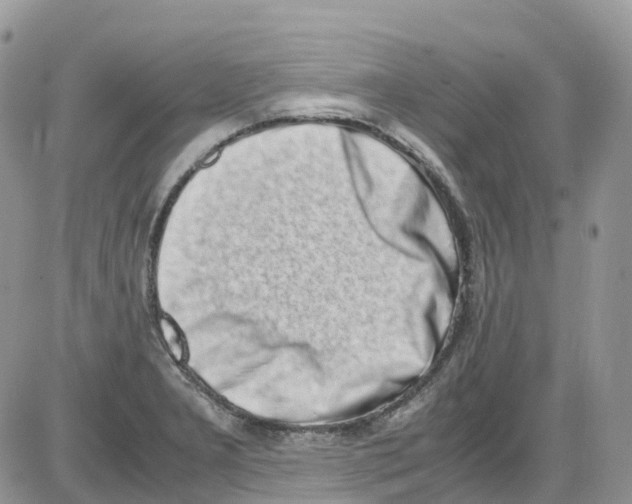 X0000086111277200704202257