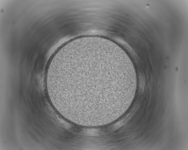 X0000086111278200704202257