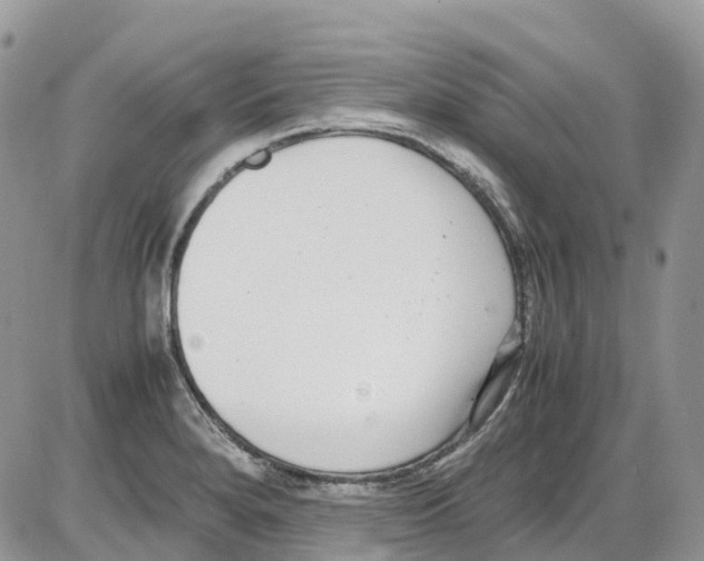 X0000086111280200704202257