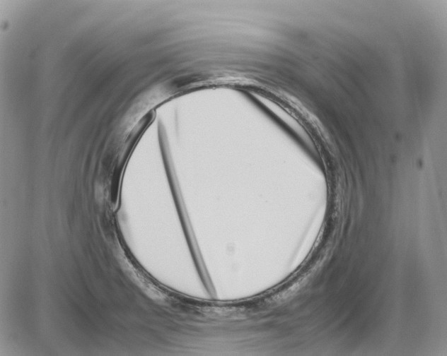 X0000086111281200704202257