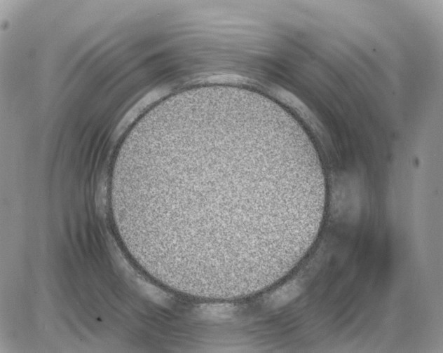 X0000086111282200704202257