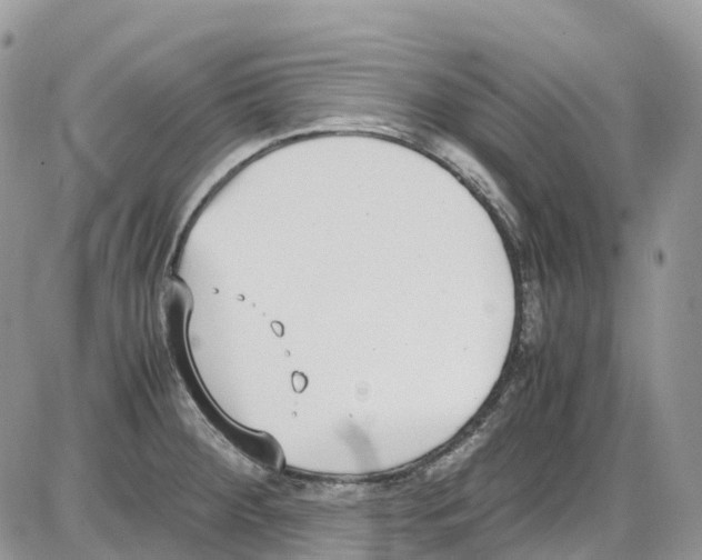 X0000086111284200704202256