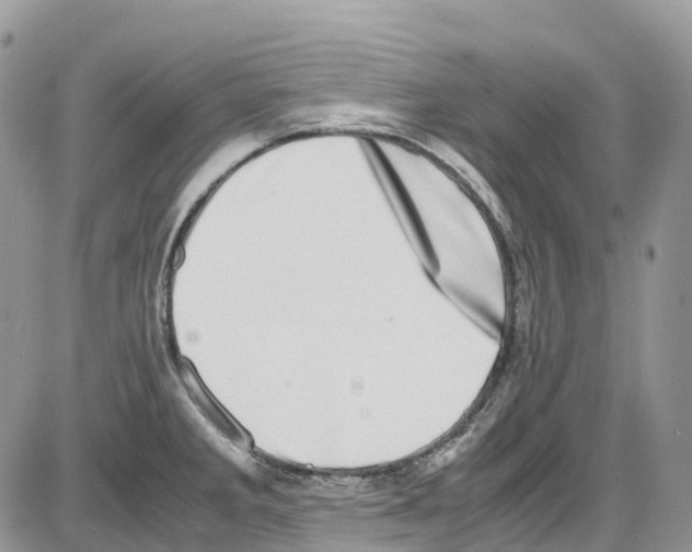 X0000086111285200704202256