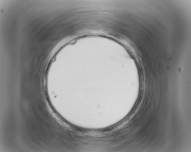 X0000086111287200704202256