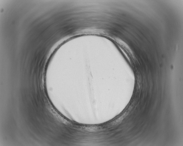 X0000086111288200704202256