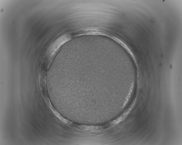 X0000086111289200704202256