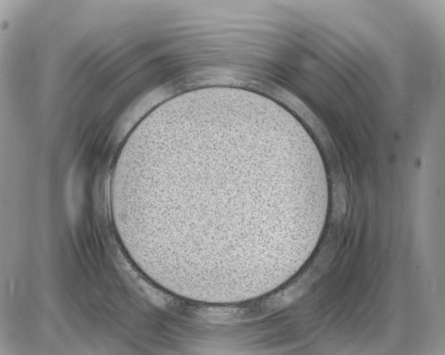 X0000086111290200704202256