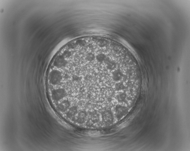 X0000086111291200704202256