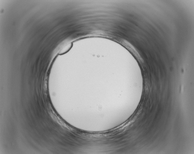 X0000086111292200704202256