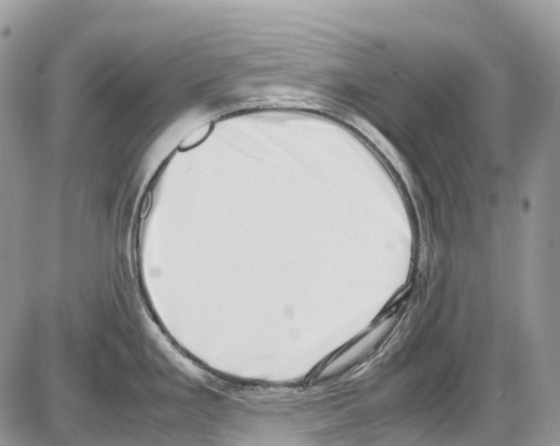 X0000086111293200704202256