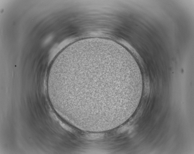 X0000086111294200704202256