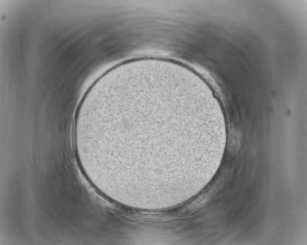 X0000086111295200704202256