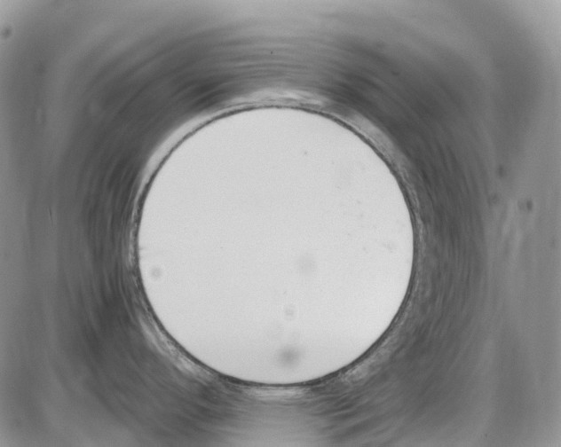 X0000086111296200704202256