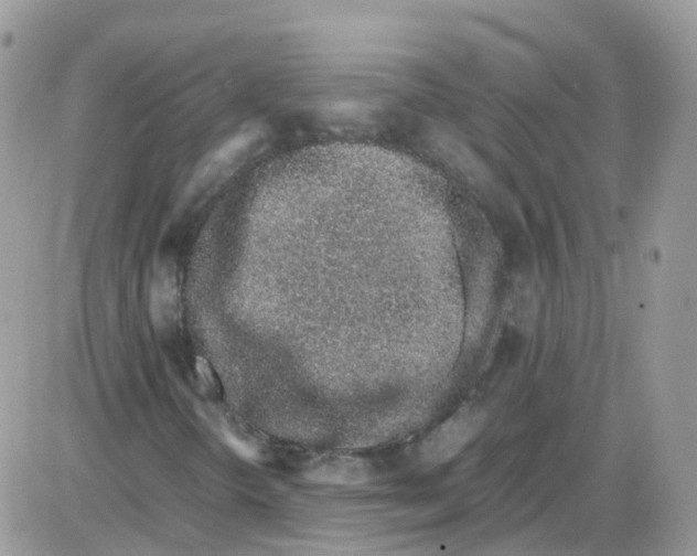 X0000086111298200704202256