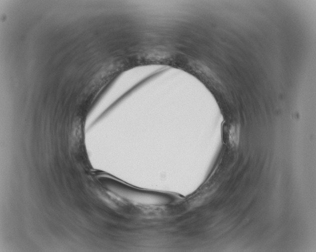 X0000086111299200704202256