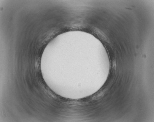 X0000086111300200704202256