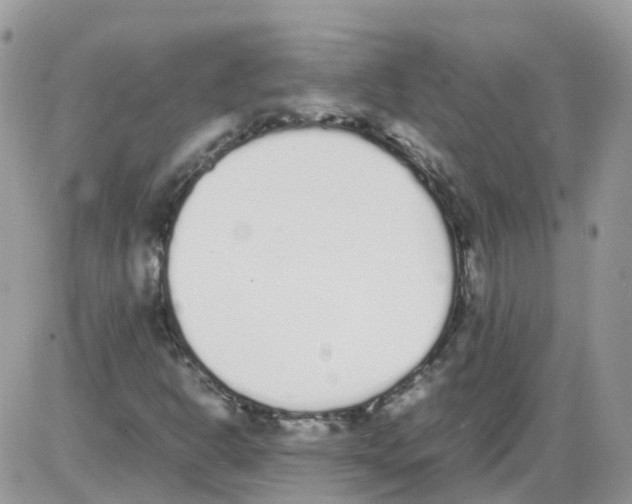 X0000086111302200704202256