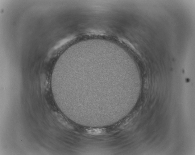 X0000086111303200704202256