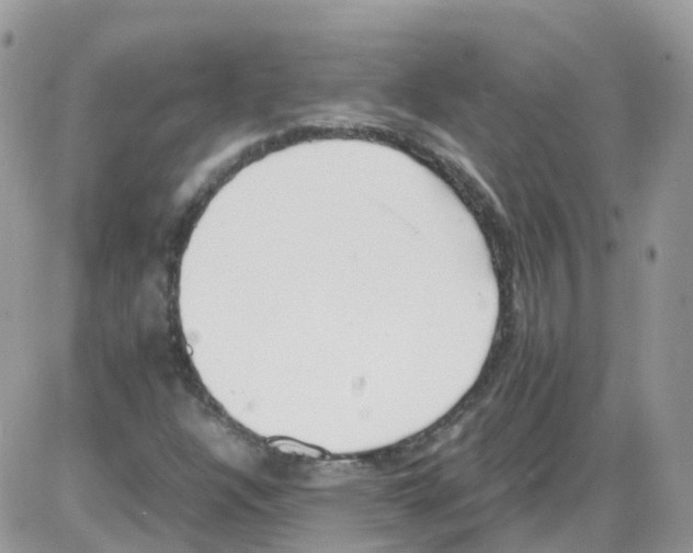 X0000086111304200704202256