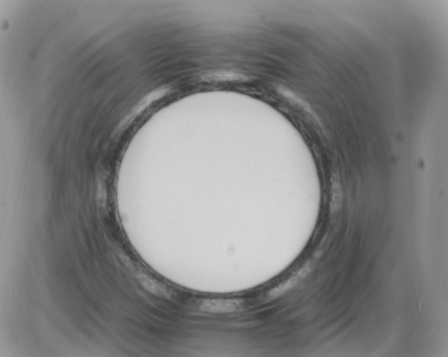 X0000086111305200704202256