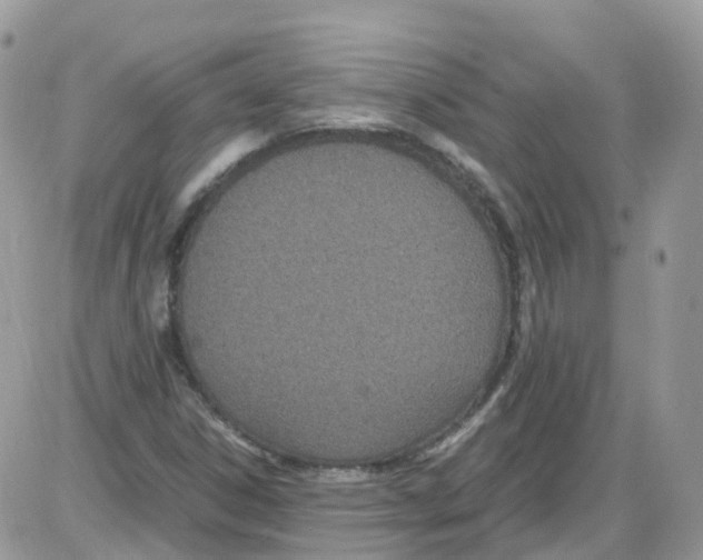 X0000086111306200704202256