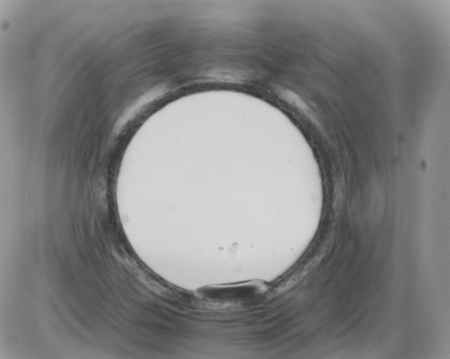 X0000086111307200704202256