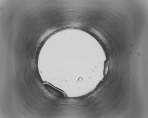 X0000086111308200704202256