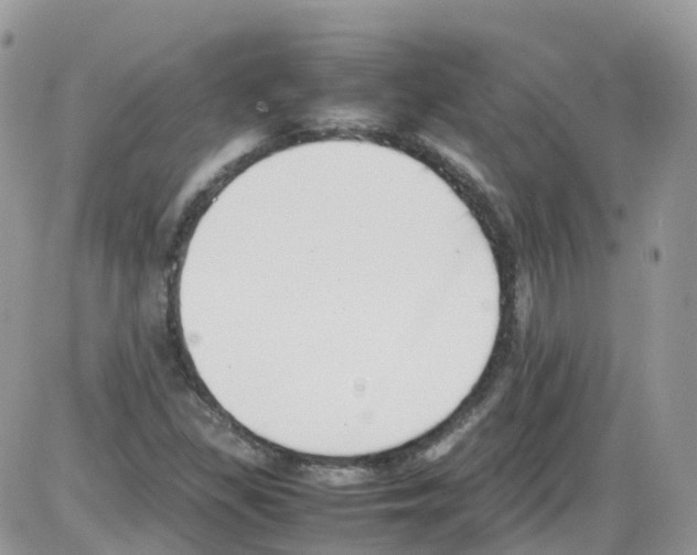 X0000086111309200704202256