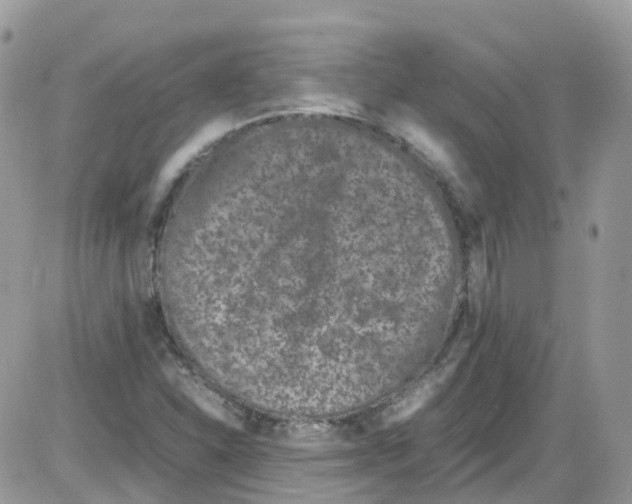 X0000086111310200704202256