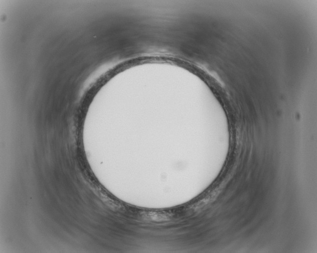 X0000086111311200704202256