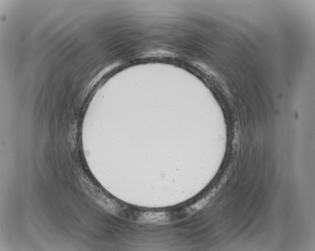 X0000086111313200704202256