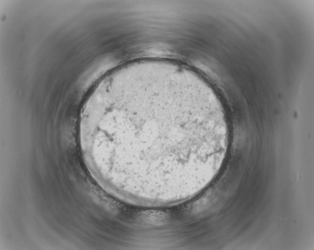 X0000086111314200704202256