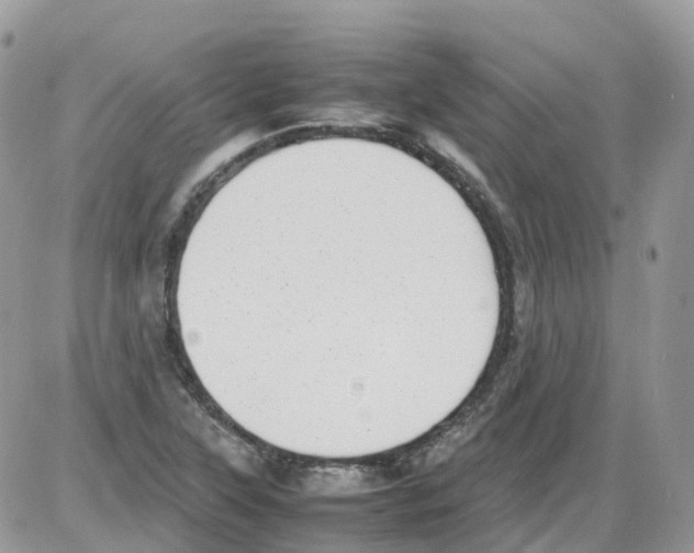 X0000086111315200704202256