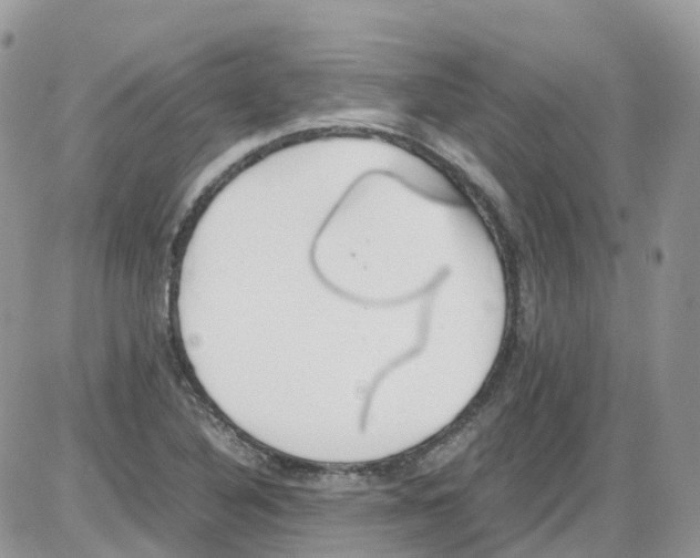 X0000086111316200704202256