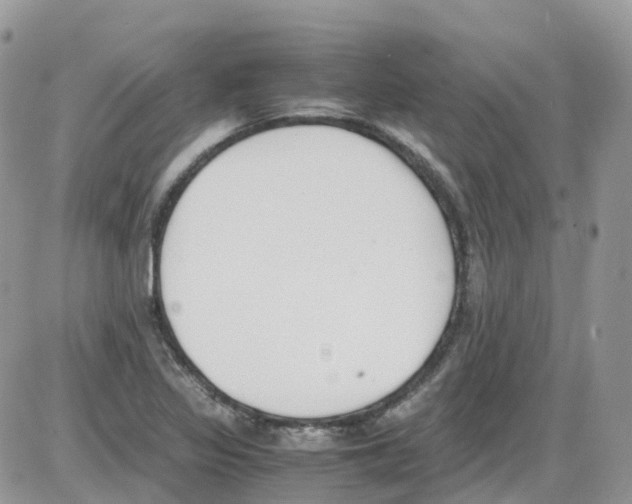 X0000086111317200704202256