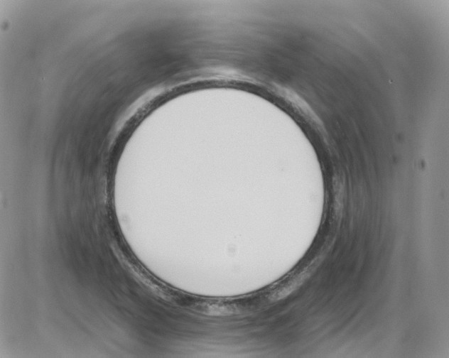 X0000086111318200704202256